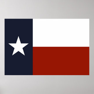 Texas Flagga Poster