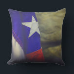 Texas Flagga Rustic Lone Star State USA Kudde<br><div class="desc">Texas Flagga Rustic Lone Star State USA</div>