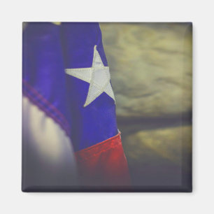 Texas Flagga Rustic Lone Star State USA Magnet