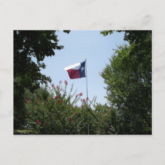 Texas Flagga-vykort Vykort
