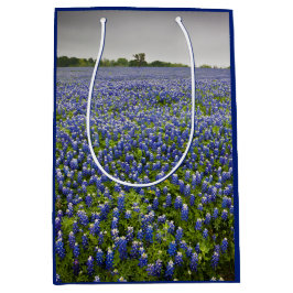 Texas för fält för blåttvårBluebonnet statlig