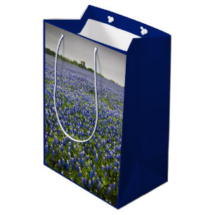 Texas för fält för blåttvårBluebonnet statlig