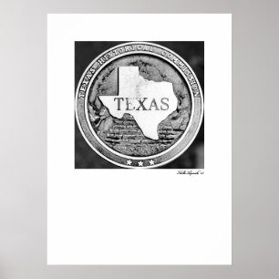 Texas förseglar historiskt samhälle brons in poster