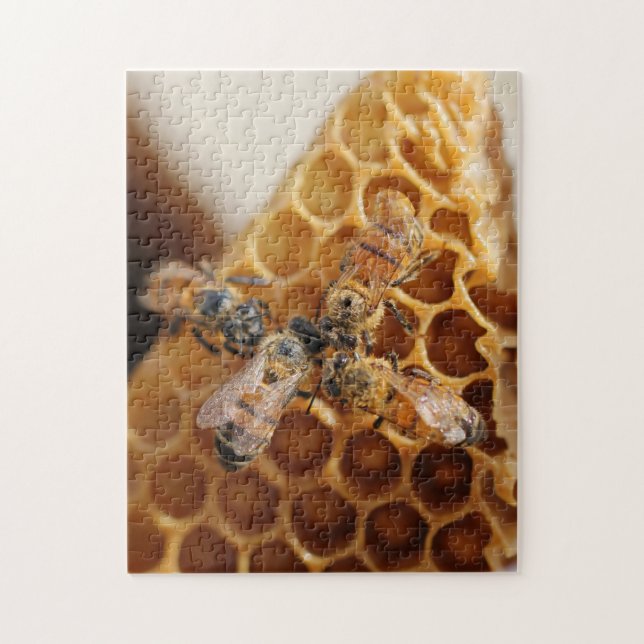 Texas Honeybees | Honeycomb Hive Pussel (Vertikal)
