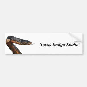 Texas indigoblå orm bildekal
