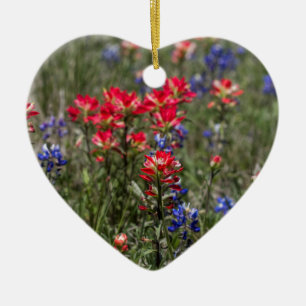 Texas indiska paintbrush- och julgransprydnad keramik