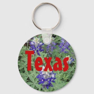 Texas Keychain Nyckelring