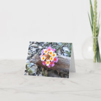 Texas Lantana Flower - Söt Blank Greeting Card