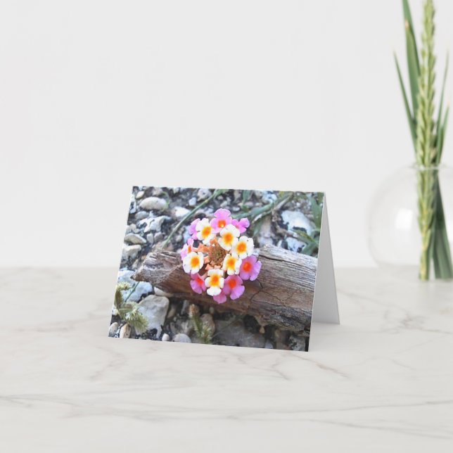 Texas Lantana Flower - Söt Blank Greeting Card Tack Kort (Framsida)