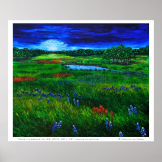 Texas Ligcape Poster