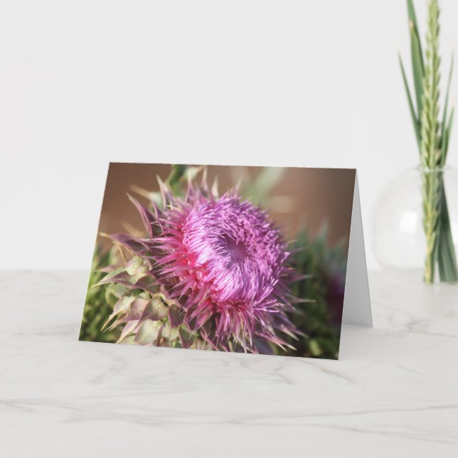 Texas Lila Thistle Greeting Card Kort (Framsida)