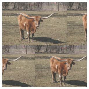 Texas Long Horns! Tyg