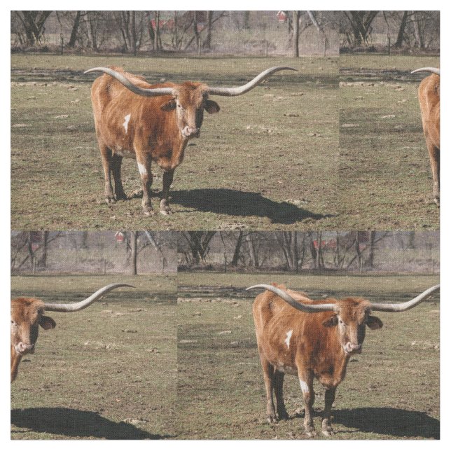 Texas Long Horns! Tyg (Närbild)