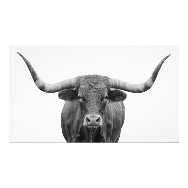 Texas Longhorn Bull Black White Fototryck (Framsidan)