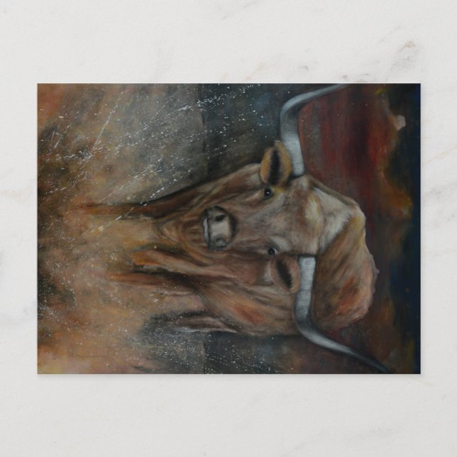 Texas Longhorn Bull Vykort (Framsida)