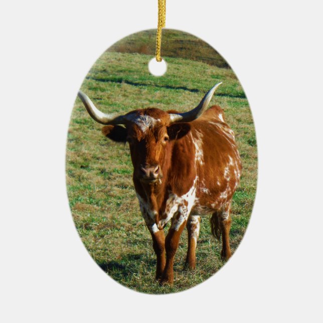 Texas Longhorn Cattle Cow Photo Rustic Julgransprydnad Keramik (Framsidan)