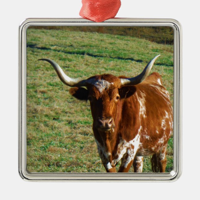 Texas Longhorn Cattle Cow Photo Rustic Julgransprydnad Metall (Framsidan)