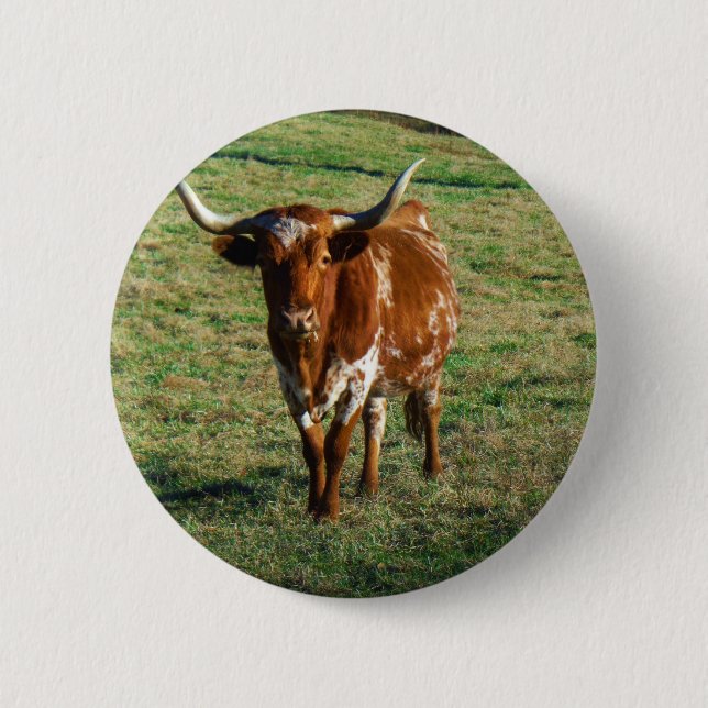 Texas Longhorn Cattle Cow Photo Rustic Knapp (Framsida)