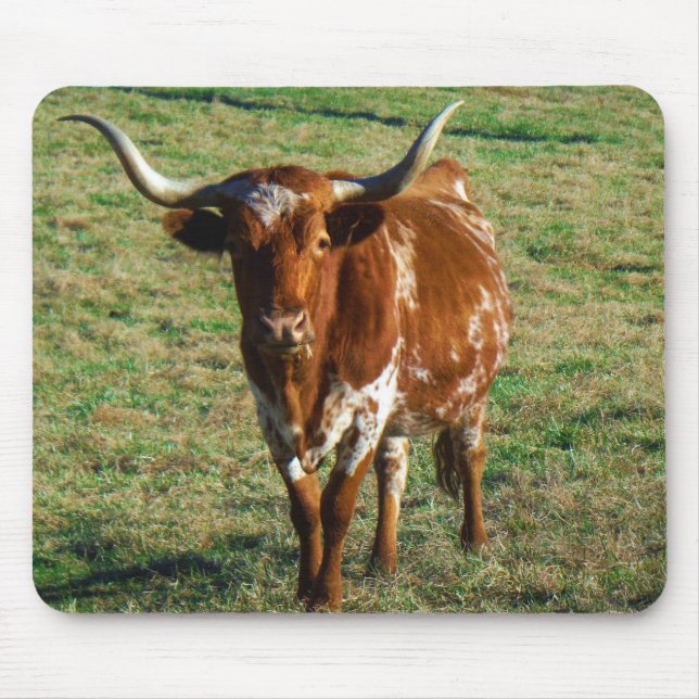 Texas Longhorn Cattle Cow Photo Rustic Musmatta (Framsidan)