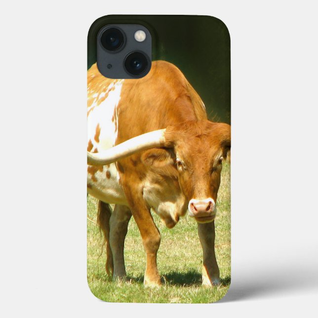 Texas Longhorn Cow (Baksida)