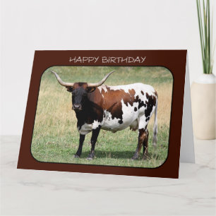 Texas Longhorn Cow Grattis på födelsedagen (Big St Kort