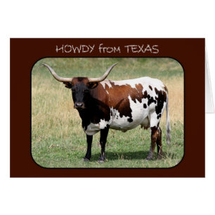 Texas Longhorn Cow Howdy från Texas Hälsningskort