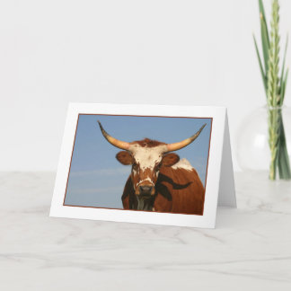 Texas Longhorn Cow Kort