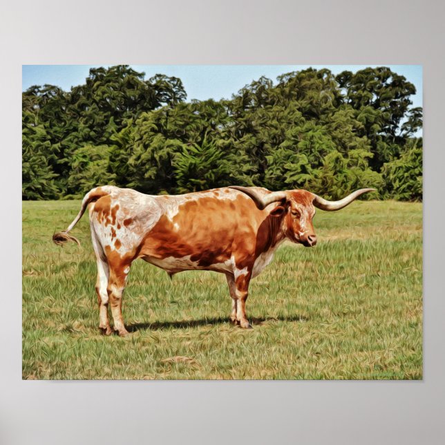 Texas Longhorn Cow Photographic Art Print Poster (Framsidan)