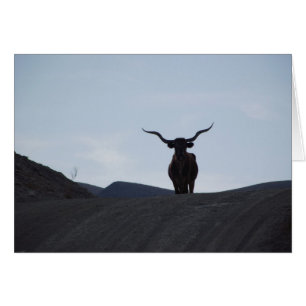 Texas Longhorn Hälsningskort