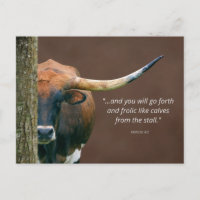 Texas Longhorn Ko-postkort - Lätt att Personaliser