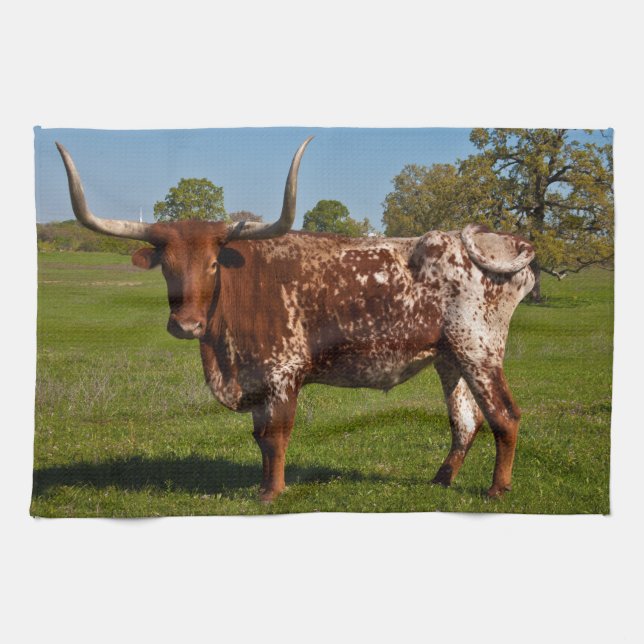 Texas Longhorn Kökshandduk (Horisontell)