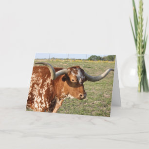 Texas Longhorn Kort