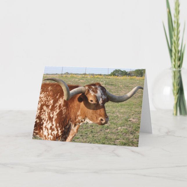 Texas Longhorn Kort (Framsida)
