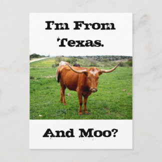 Texas Longhorn med det roliga Texas ordstävet Vykort