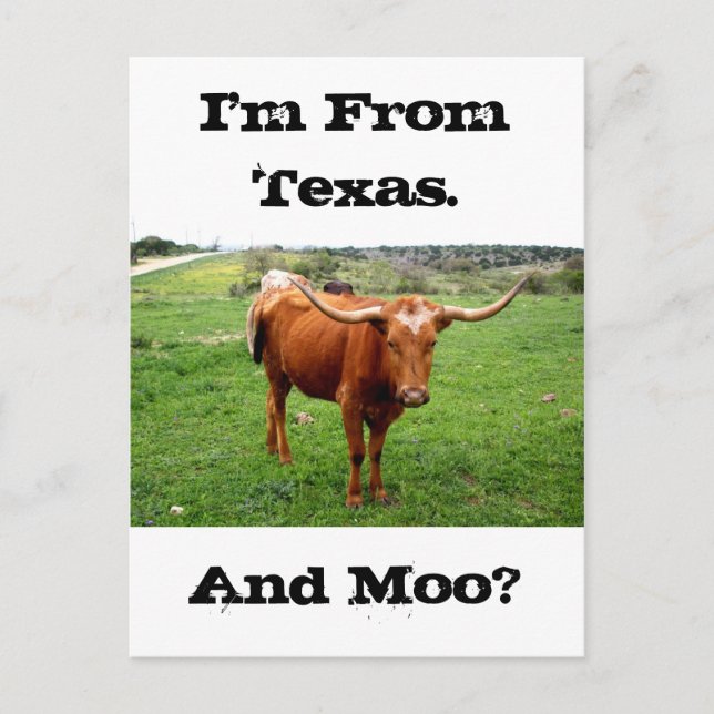 Texas Longhorn med det roliga Texas ordstävet Vykort (Framsida)