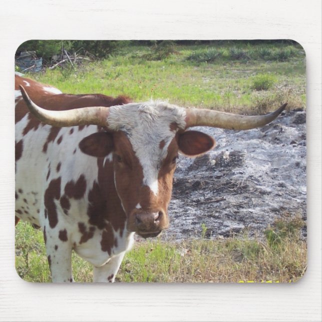 Texas Longhorn Musmatta (Framsidan)