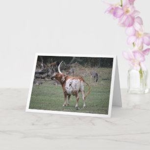 Texas Longhorn-nötkreatur Kort
