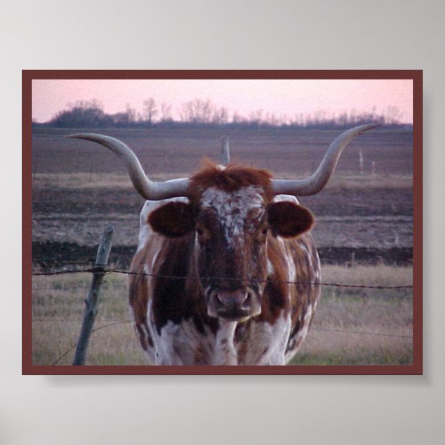 Texas Longhorn Poster (Framsidan)