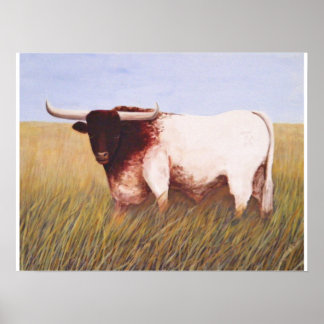 Texas Longhorn Poster