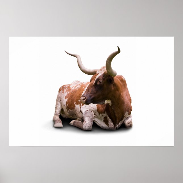 Texas Longhorn Poster utskrift (Framsidan)