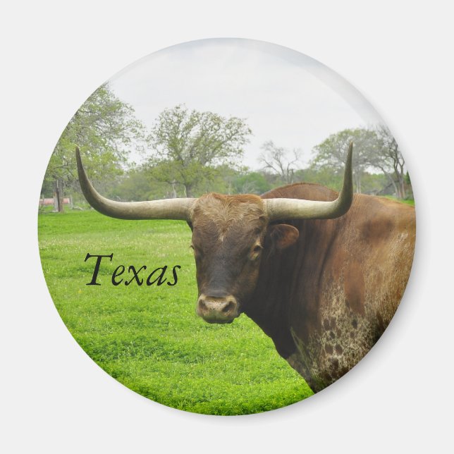 Texas Longhorn Round Magnet (Framsidan)
