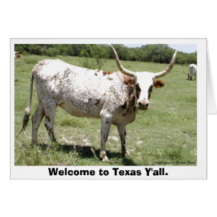 Texas Longhorn, välkommen till Texas Y'all. Hälsningskort