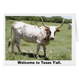 Texas Longhorn, välkommen till Texas Y'all. Hälsningskort