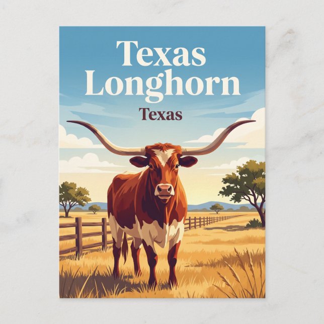 Texas Longhorn Vykort (Framsida)