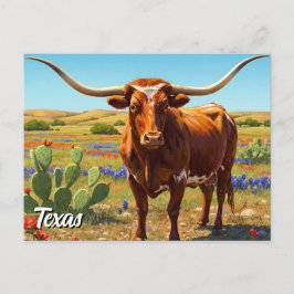 Texas longhorn vykort