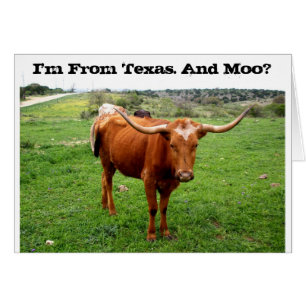 Texas Longhorn with Funny Texas Say Hälsningskort