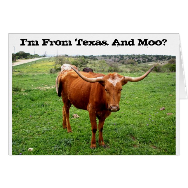 Texas Longhorn with Funny Texas Say Hälsningskort (Framsidan Horizontal)