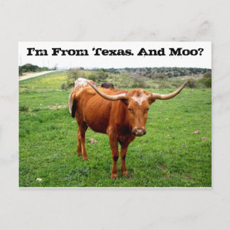 Texas Longhorn with Funny Texas Say Vykort