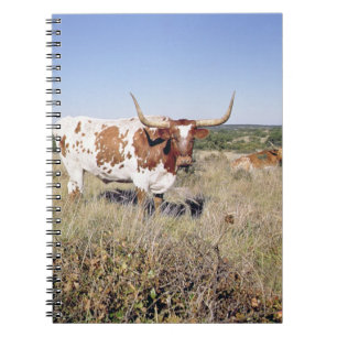 Texas Longhornavel (fotoet) Anteckningsbok