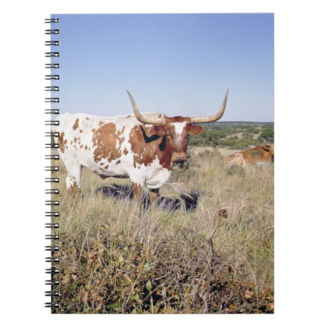 Texas Longhornavel (fotoet) Anteckningsbok (Framsidan)